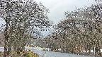 takano2-20250414055029.jpg