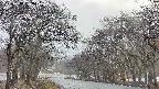 takano2-20250414063031.jpg