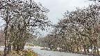 takano2-20250414064030.jpg