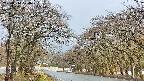 takano2-20250414070030.jpg