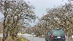 takano2-20250414075030.jpg