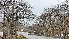 takano2-20250414080030.jpg