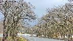 takano2-20250414082030.jpg