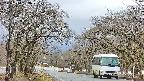 takano2-20250414083030.jpg