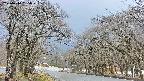 takano2-20250414085030.jpg