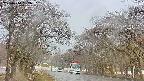 takano2-20250414092030.jpg