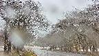 takano2-20250414094031.jpg