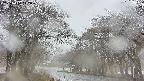 takano2-20250414112030.jpg