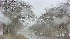 takano2-20250414113031.jpg