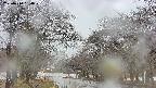takano2-20250414130030.jpg