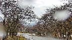 takano2-20250414145031.jpg