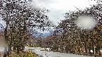 takano2-20250414151029.jpg