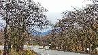 takano2-20250414155031.jpg