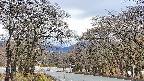 takano2-20250414162031.jpg