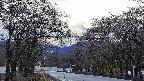 takano2-20250414165031.jpg