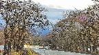 takano2-20250414173031.jpg