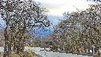 takano2-20250414174031.jpg