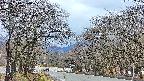 takano2-20250414180030.jpg