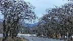 takano2-20250414182032.jpg