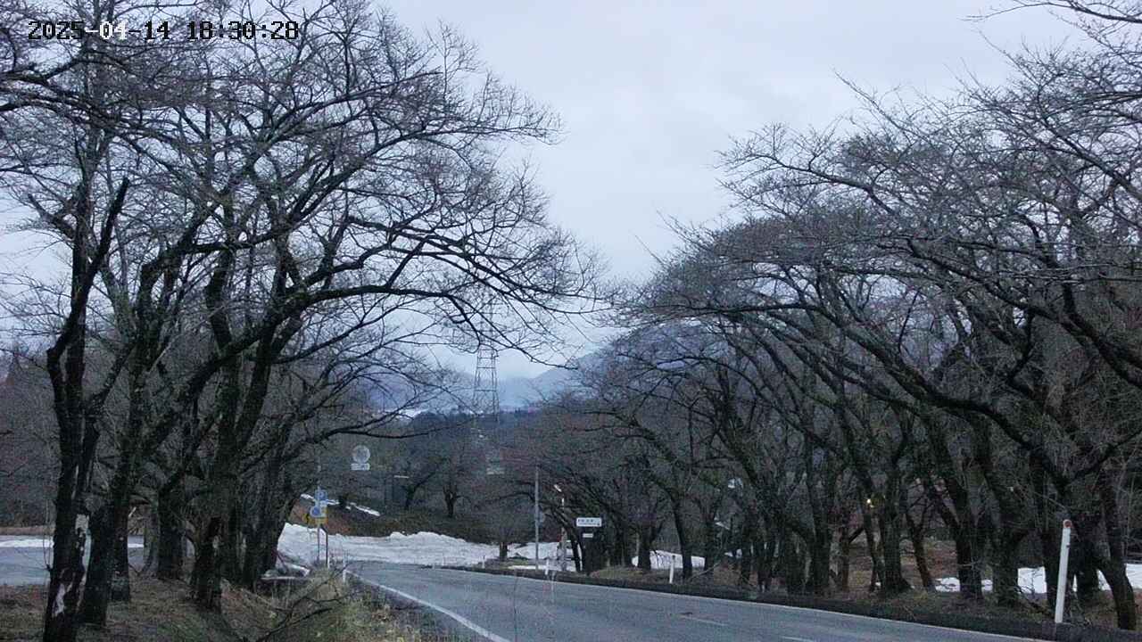 takano2-20250414183029.jpg