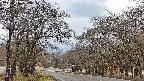 takano2-20250416162032.jpg