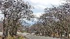 takano2-20250416170032.jpg