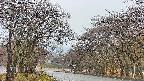 takano2-20250418122030.jpg