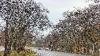 takano2-20250418174029.jpg