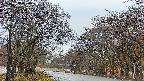 takano2-20250418180030.jpg