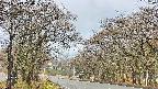 takano2-20250419070030.jpg