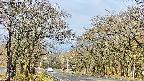 takano2-20250419081031.jpg