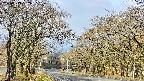 takano2-20250419082031.jpg