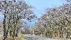 takano2-20250419084031.jpg
