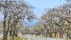 takano2-20250419095029.jpg