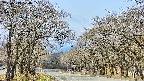 takano2-20250419100031.jpg