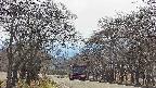 takano2-20250419145033.jpg