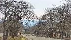 takano2-20250419153032.jpg