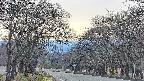 takano2-20250419154030.jpg