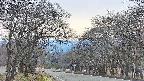 takano2-20250419160031.jpg