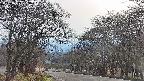 takano2-20250419163031.jpg