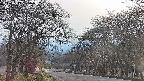 takano2-20250419165030.jpg