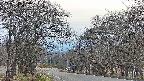 takano2-20250419180030.jpg