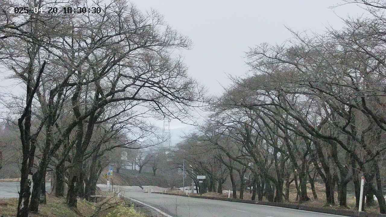 takano2-20250420183031.jpg