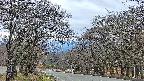 takano2-20250421050030.jpg