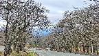 takano2-20250421051030.jpg