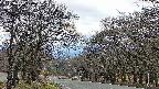 takano2-20250421054031.jpg