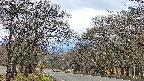 takano2-20250421055031.jpg
