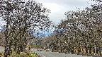 takano2-20250421061030.jpg