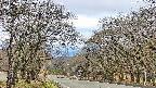 takano2-20250421071030.jpg