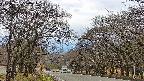 takano2-20250421094030.jpg